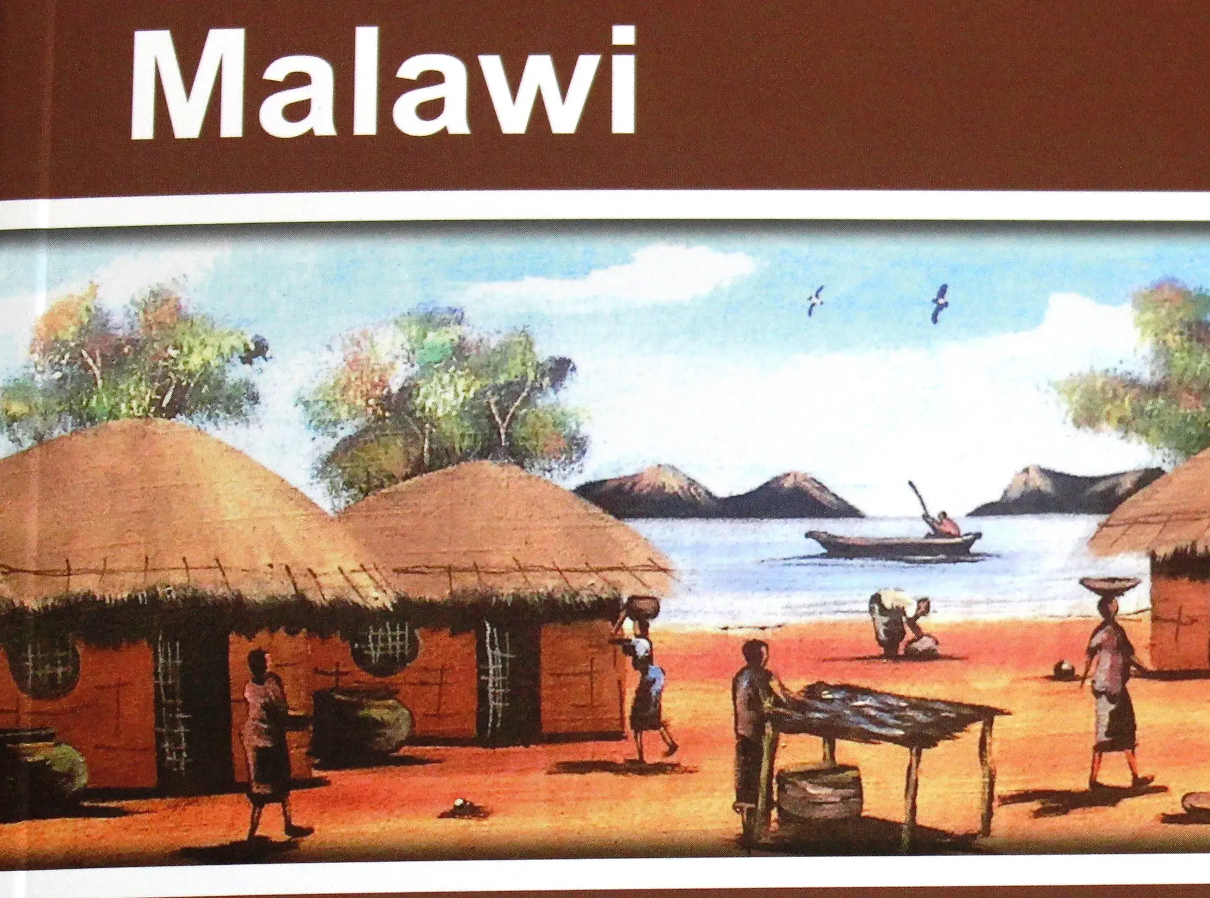 Malawi releases 2015-16 Demographic and Health Survey findings